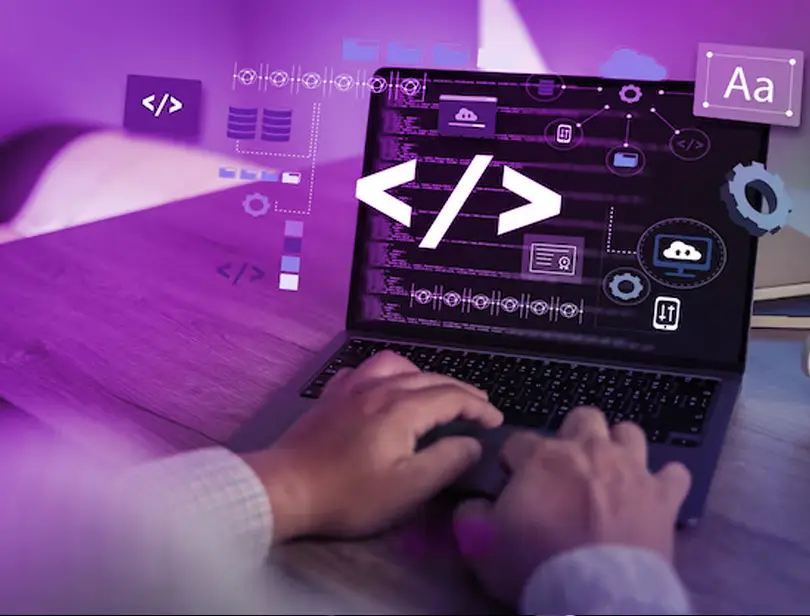 Custom Webflow Development